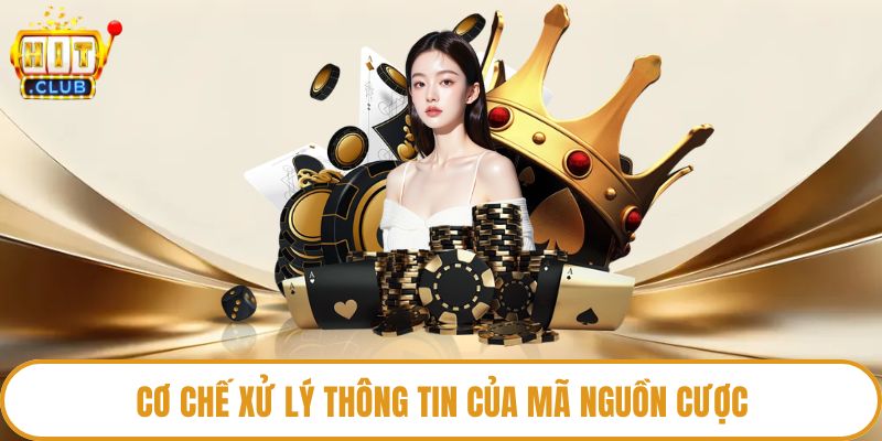 Cơ chế xử lý thông tin của mã nguồn cược