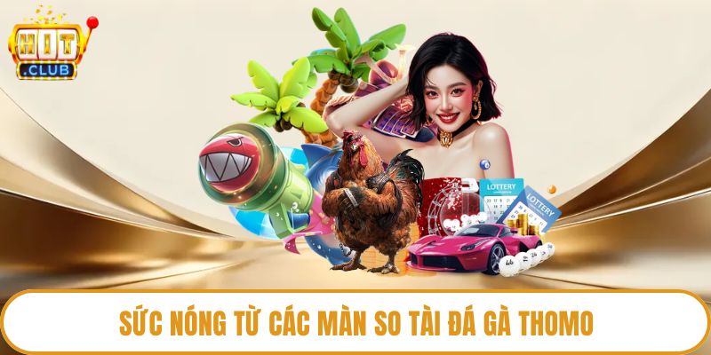Sức nóng từ các màn so tài đá gà Thomo