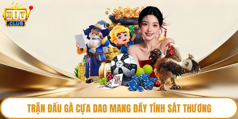 Trận đấu gà cựa dao mang đầy tính sát thương